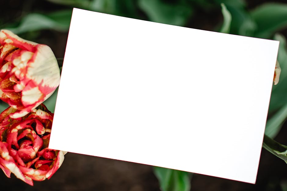 Blank white paper surrounded by vibrant red tulips outdoors in Estonia.